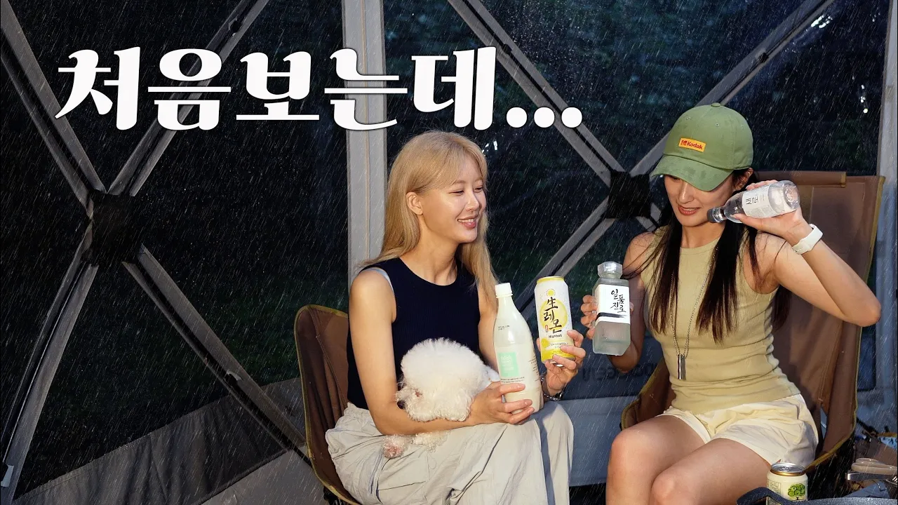 알쓰가 주당을 만났을때 / 여자 둘의 저 세상 텐션 우중캠핑 / 먹고 마시고 / 심심할때 추천 영상 / 빗소리 / 애견동반캠핑 / 산으로간니모캠핑장 썸네일