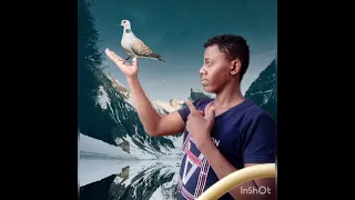 جديد ٢٠٢٢ حالات واتس اب بلة ود الاشبة 