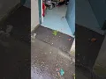 Hidden water leak causing so much damage