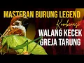 Download Lagu Masteran Burung Legend Kombinasi walang kecek dan Gereja Tarung