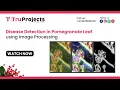 Disease Detection in Pomegranate Leaf using Image Processing