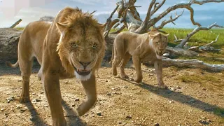 اسدين بيهجمو علي امه غالبنين مايعرفوش ان ابنها اسد مهين هايدهم درس في الصميم قصة الاسد الملك الجزء2 