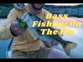 Lake fly fishing off the Ankona Shadowcast with Zack Harris Topwater popper fishing