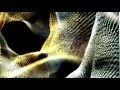 After Effects Trapcode Form Test Render