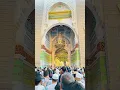 Download Lagu My dream madeena #shortvideo #islamicgreeting