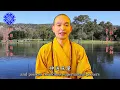 因果不可改 Causality cannot be Altered--美佛寺性仁法師