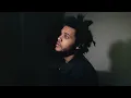 Download Lagu The Weeknd, Playboi Carti - Timeless (Ferry Louie Remix)