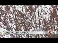 2021 pollen forecast for central NC
