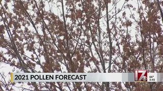 2021 pollen forecast for central NC