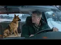 A Marine and His German Shepherd Stopped for 12 Strangers in a Montana Blizzard