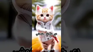 يوسف يا قمر اغنيه باسم يوسف 