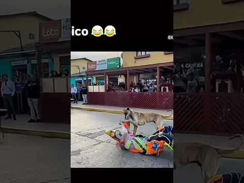 Karcocha copero con el perro