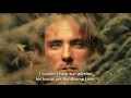 Challenging the Alpha The Millennium Wolves Book Trailer