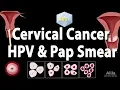 Cervical Cancer HPV and Pap Test Animation