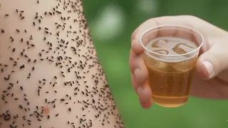 Just 3 drops and the fleas are gone Stronger than a ton of poison