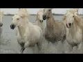 Alison Krauss - So Long So Wrong