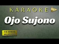 Download Lagu Karaoke Ojo Sujono