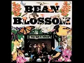 Sunny Side Of The Mountain (Live (1973 Bean Blossom, Indiana)) - Jimmy Martin & The Sunny Mountain Boys