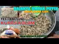 Download Lagu GAWAT...!!! BONGKAR RESEP UMPAN SETAN🔥MUSUHNYA PARA PEMAIN SENIOR🔥AUTO BIKIN LAWAN PANAS DINGIN
