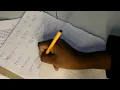 How to draw a pie chart Life Sciences Scientific Skills
