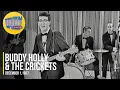 Download Lagu Buddy Holly \u0026 The Crickets \