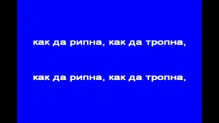 В ЧАСА ПО МУЗИКА Рипни Калинке инструментал нар 