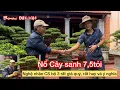 Download Lagu Lần đầu thăm quan vườn nghệ nhân tài hoa tạo nhiều Tp tiểu cảnh rất đẹp,độc đáo, Gl Bác 1 Tp rất đẹp