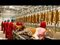 Inside the Tiger Leather Factory–Million-Dollar Masterpieces Are Made from Tiger Skin (Full Process)