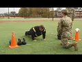 Download Lagu ACFT Event 3 -  Hand Release Pushup