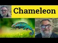 Lagu 😎 Chameleon Meaning - Chameleon Defined - Chameleon Examples - Describing People - Chameleon