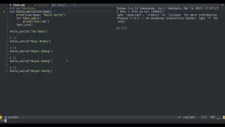 neovim repl demo version1 0