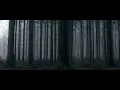 Scarborough Fair - Tal Barr