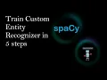 Train Custom NER with Spacy v3 0