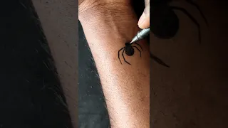 Spider Tattoo Design With Pen Viral Tattoo Tranding Mrtattooart Spider 
