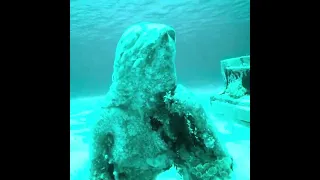 David Copperfields underwater piano and mermaid #sailing #catamaransailing #ruddercay