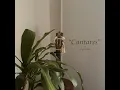 Canela (Cnt. 1:5)