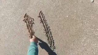 روعة الكتابه بالخط للعربي على رمال البحر 