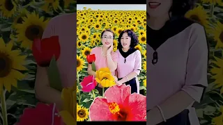 Https Vt Tiktok Com ZSyhX5Aky 