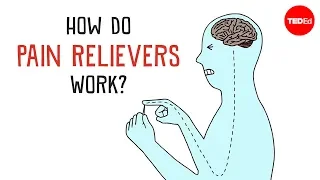 how do pain relievers work george zaidan