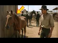 Download Lagu Nobody Wanted to Buy the Beaten-Down Horse — Until He Made His New Owner a Millionaire