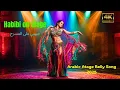 Download Lagu Habibi op het podium – Wanneer de liefde in de schijnwerpers danst, Arabisch podiumbuiklied 2025