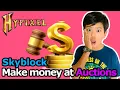 Hypixel Skyblock How to Make Money at Skyblock Auction
