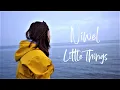 Download Lagu Niwel - Little Things (Lyric Video)