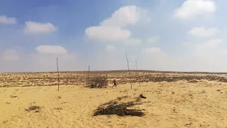 فيديو لصيد عصافير الفساسي موسم الصيد ٢٠٢٣  الصيد دندنها