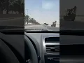 مايحتاج ياعيسى ابوبكر سالم