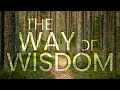 The Way of Wisdom Wisdom for Our Conflicts 10 00 am EDT 8-2-26