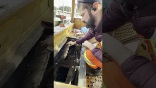 Like an everything drawer, with slightly more nautical stuff in it. #boatlife #diy