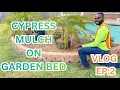 Cypress Mulch on Garden Bed Vlog Ep 2