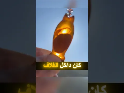 رجل يعثر على بيضة غريبة… وبداخلها كائن حي صغير! 🐣👀#shorts