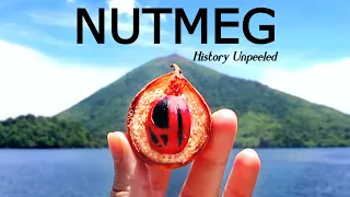 NUTMEG The Horrible History Behind The Popular Spice
